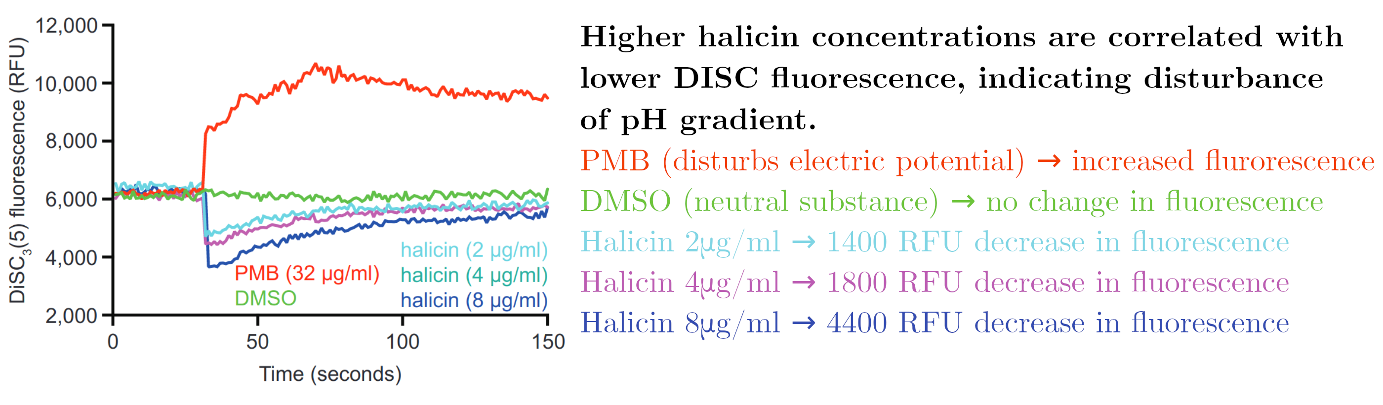 Higher halicin concentrations are correlated with lower DISC fluoresence, indidating disturbance of pH gradient. // PMB (disturbs electric potential) -> increased fluorescence. // DMSO (neutral substance) -> no change in fluorescence. // Halicin 2 ug/ml -> 1400 RFU decrease in fluorescence. // Halicin 4 ug/ml -> 1800 RFU decrease in fluorescence. // Halicin 8 ug/ml -> 4400 RFU decrease in fluorescence.