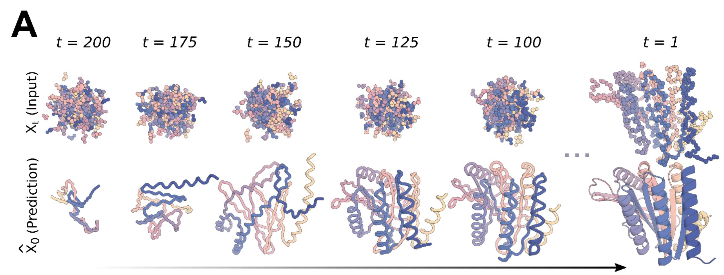 A scientific illustration of the denoising principle of RFDiffussion.